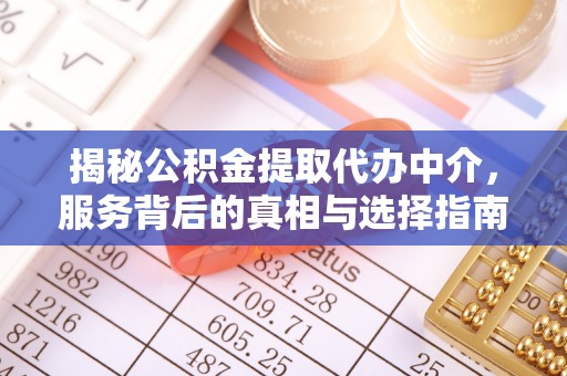 东川揭秘公积金提取代办中介，服务背后的真相与选择指南