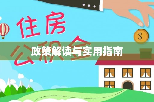 东川政策解读与实用指南