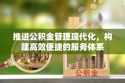 东川推进公积金管理现代化，构建高效便捷的服务体系