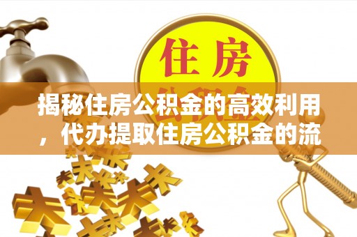 东川揭秘住房公积金的高效利用，代办提取住房公积金的流程与技巧