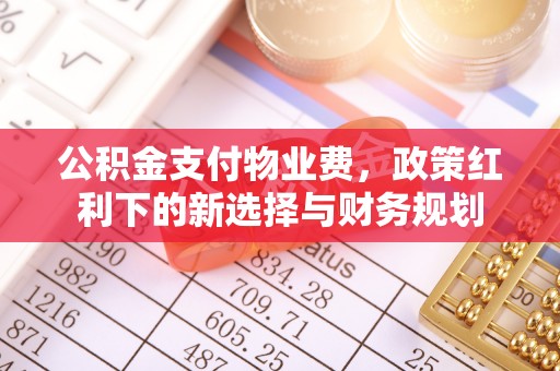 东川公积金支付物业费，政策红利下的新选择与财务规划