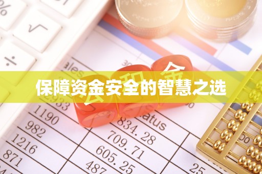 东川保障资金安全的智慧之选