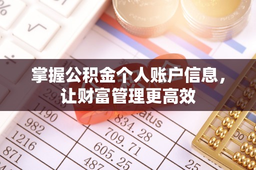 东川掌握公积金个人账户信息，让财富管理更高效