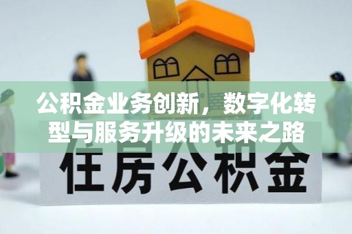 东川公积金业务创新，数字化转型与服务升级的未来之路