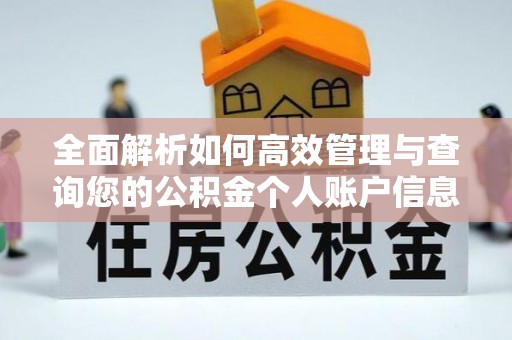 东川全面解析如何高效管理与查询您的公积金个人账户信息